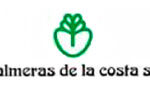Palmeras de la costa