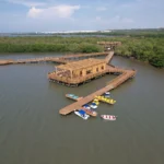 DJI_0462