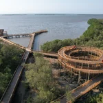 DJI_0693